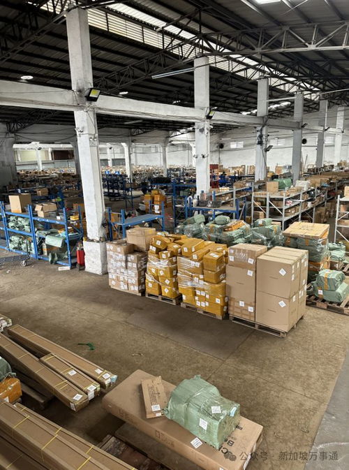 一站式物流解決方案 中國至新加坡低價海運、空運及貨物倉儲服務(wù)