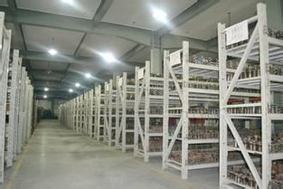 靈活倉儲新選擇 上海小倉庫30平起租，短租臨時倉儲服務全解析