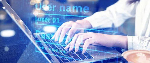 我國(guó)大數(shù)據(jù)中心邁入海洋時(shí)代 新框架、新能力、新服務(wù)引領(lǐng)AI數(shù)據(jù)處理革命